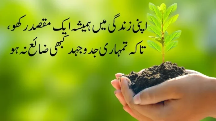 Motivational Quotes in Urdu