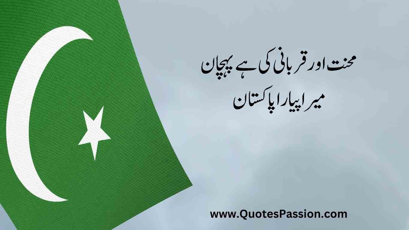 11 20250812 233214 0010