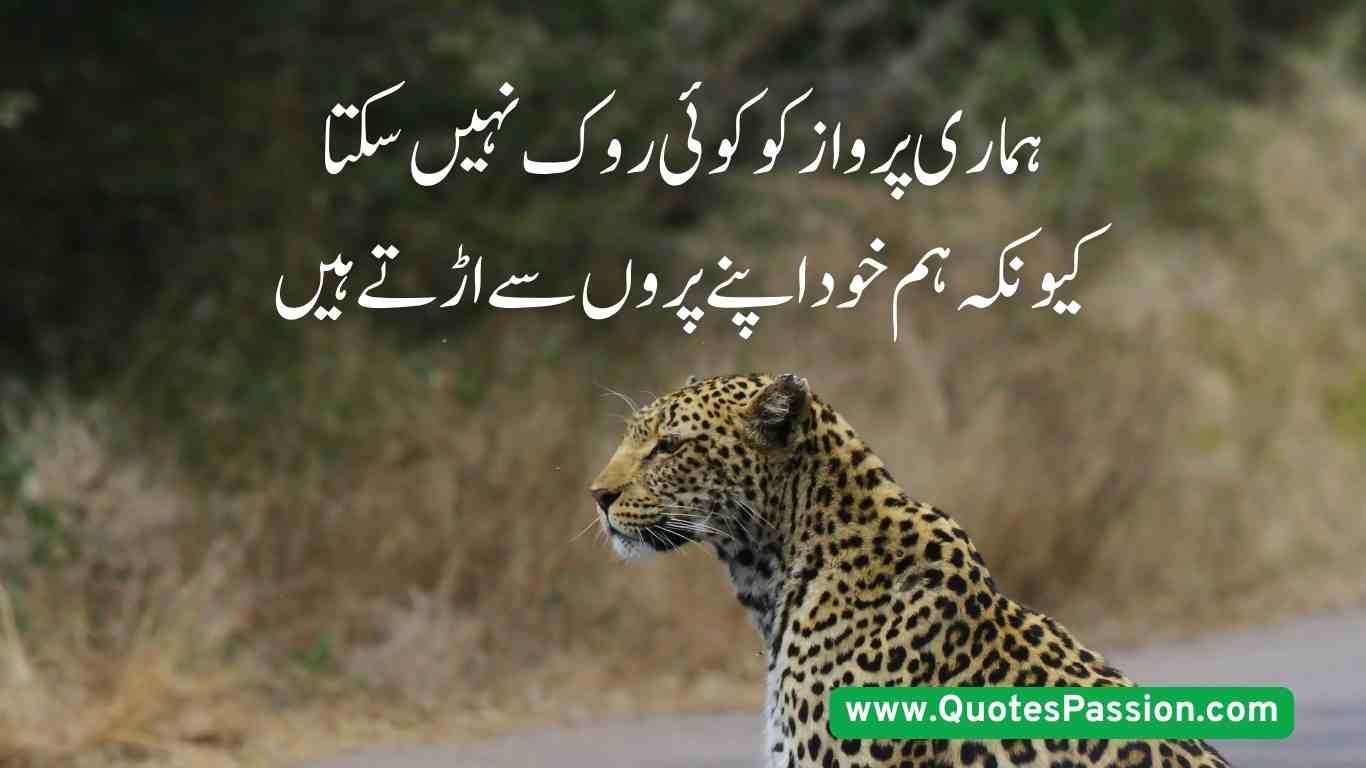 11 20250814 200755 0010