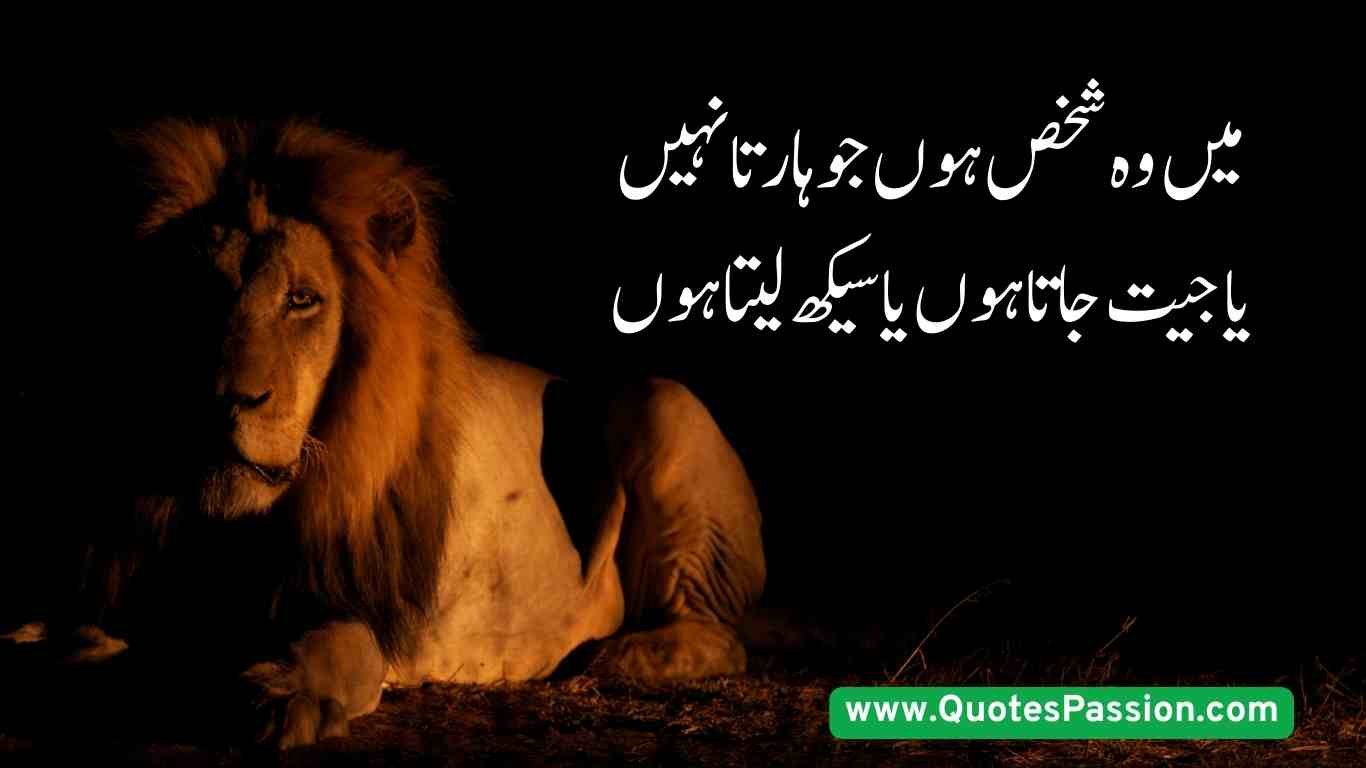 12 20250814 200755 0011