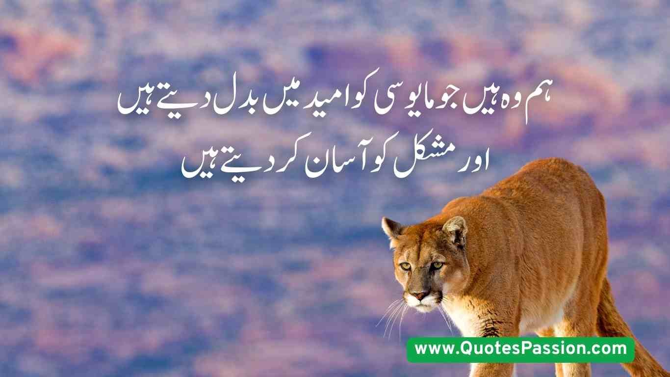 16 20250814 200755 0015