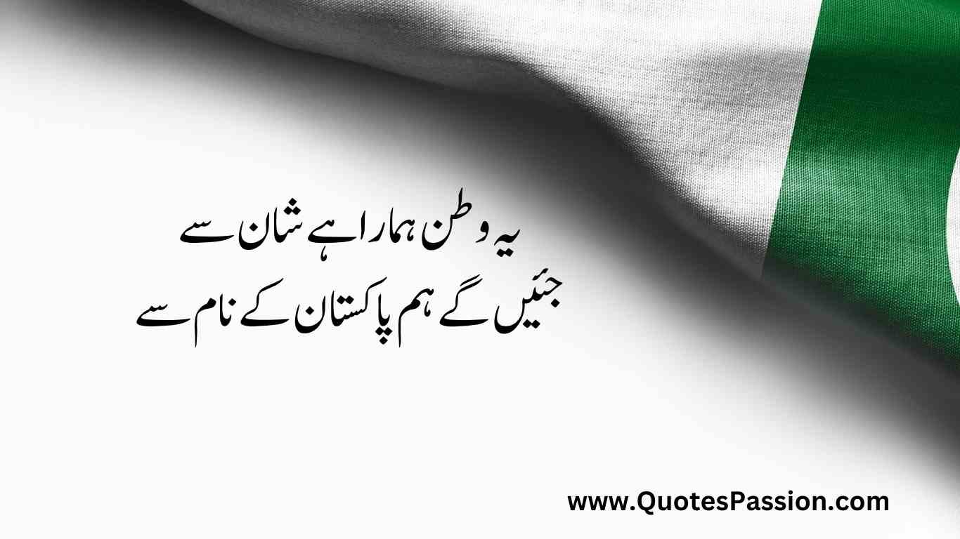 18 20250812 233215 0017