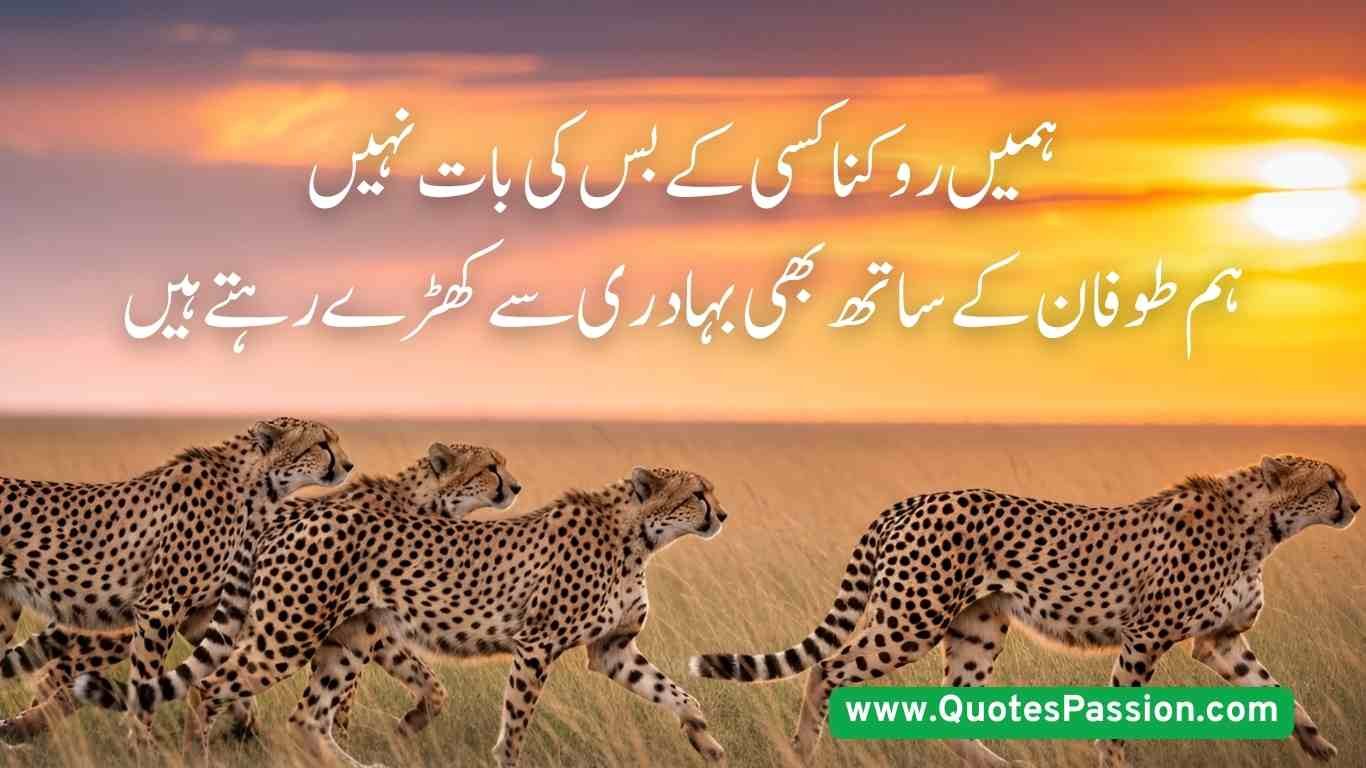 19 20250814 200755 0018