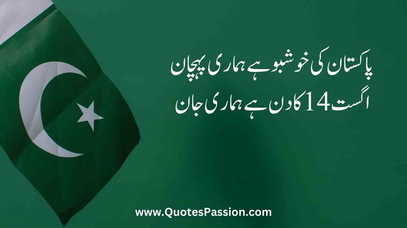 1 20250812 233214 0000