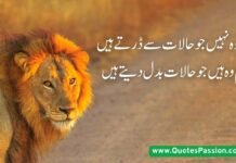 Best Attitude Quotes in Urdu 2 lines – Stylish and Powerful Lines