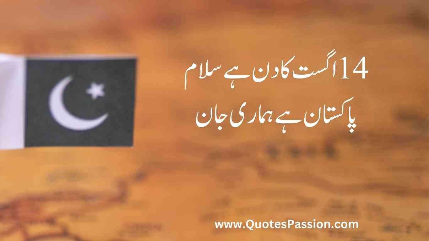 20 20250812 233215 0019