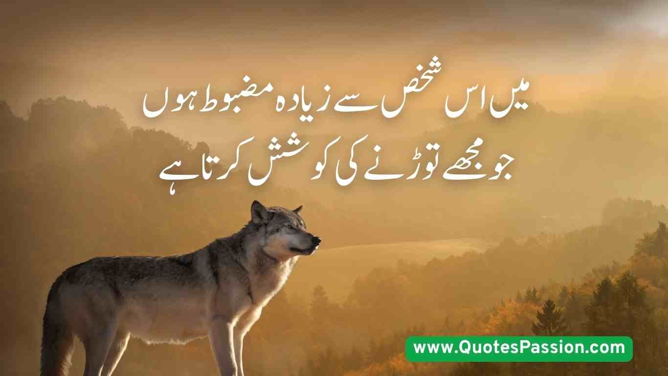 23 20250814 200755 0022