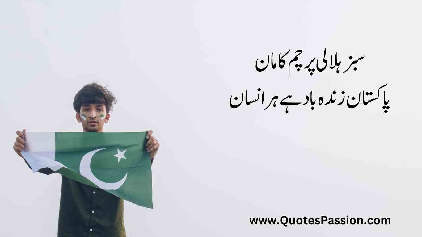 30 20250812 233215 0029