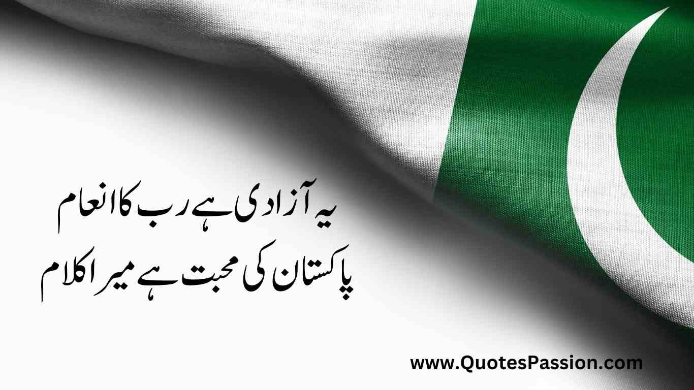 31 20250812 233215 0030