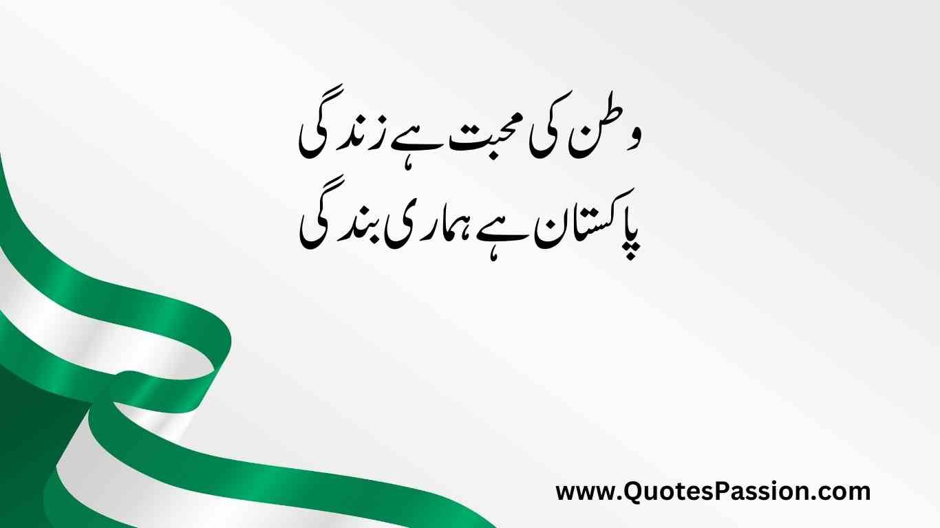 32 20250812 233215 0031