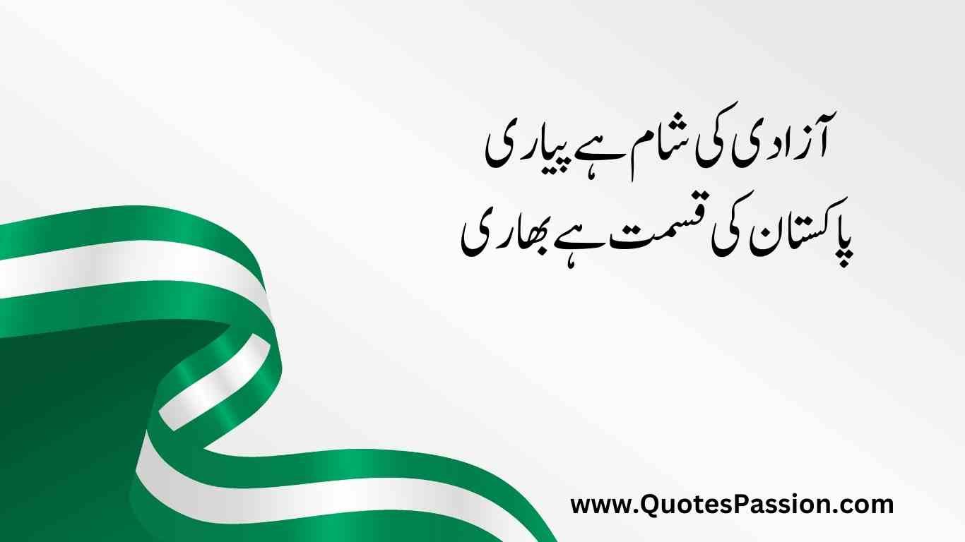 33 20250812 233215 0032