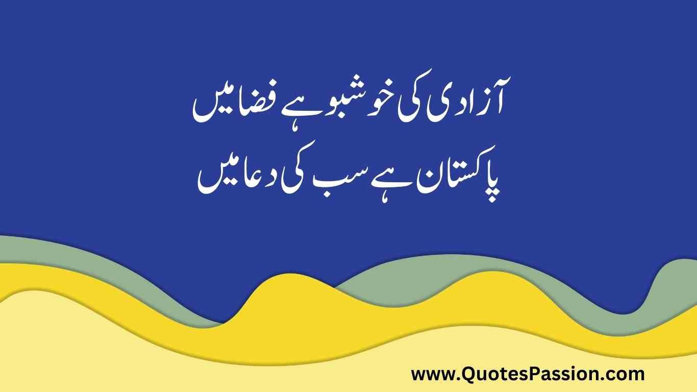 42 20250812 233216 0041