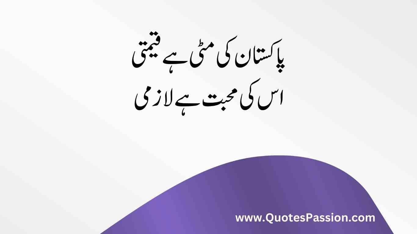 43 20250812 233216 0042