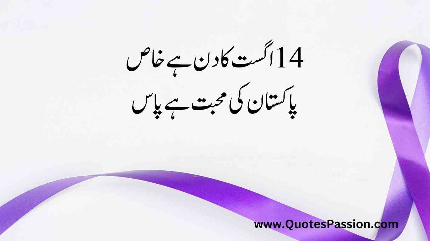 44 20250812 233216 0043