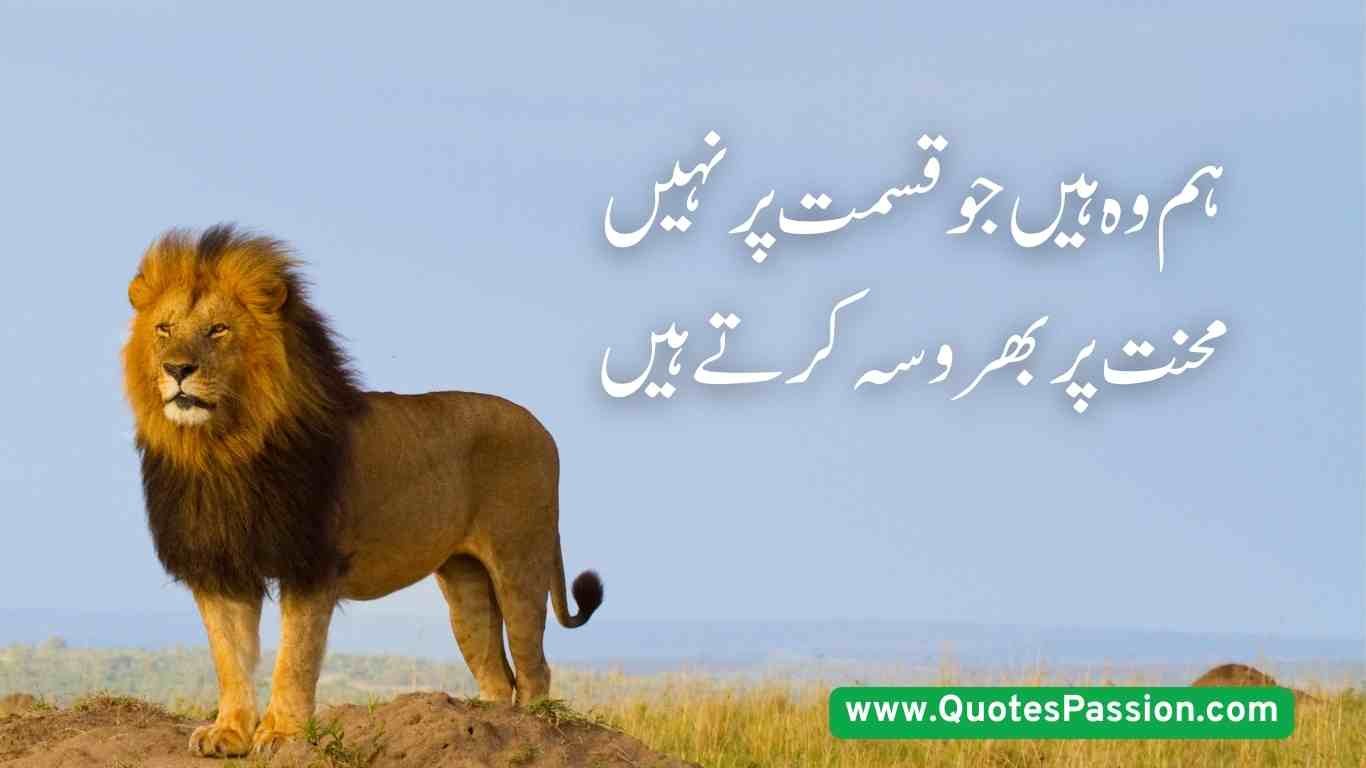 4 20250814 200755 0003