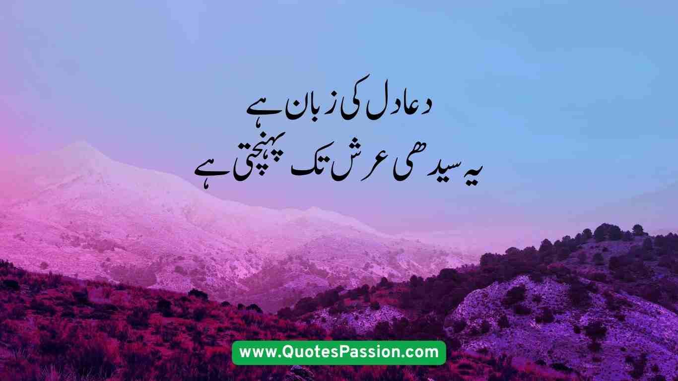 35 20250906 233549 0034