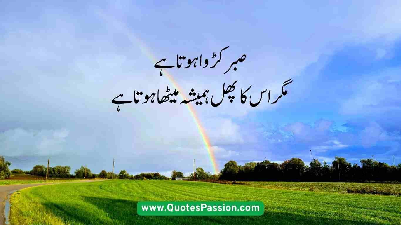 4 20250906 233547 0003