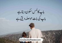 Best Father Love Quotes in Urdu – باپ کی محبت کے اقوال